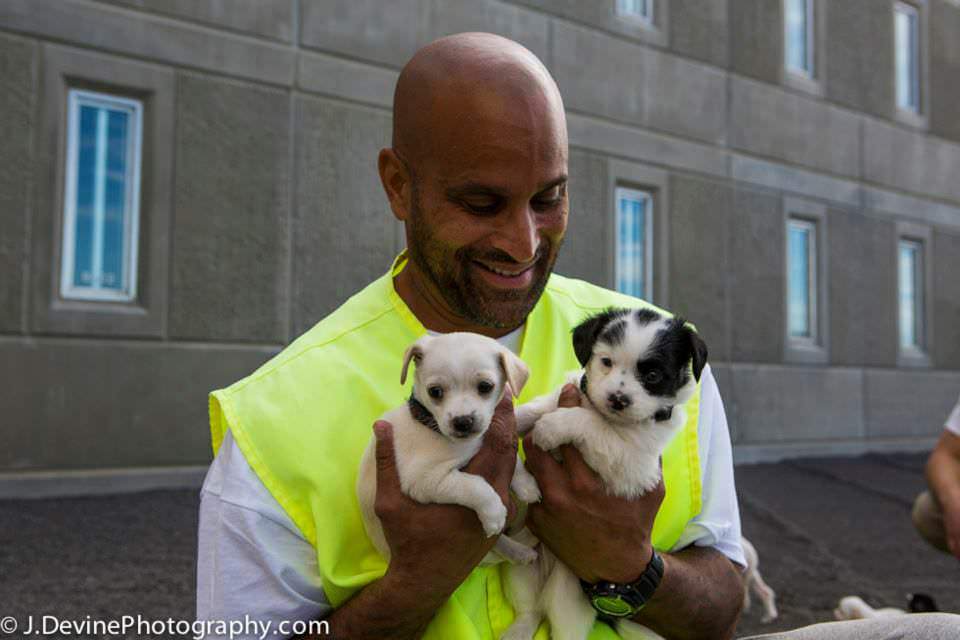 Coyote Ridge Dogs Washington HeARTs Speak