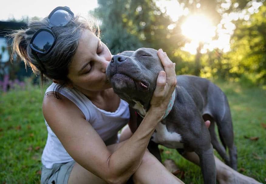 monthly donor dog kiss